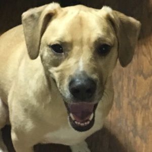 Meet your Posher, June